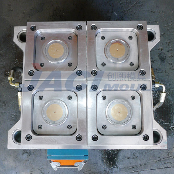 in mould label mould 11